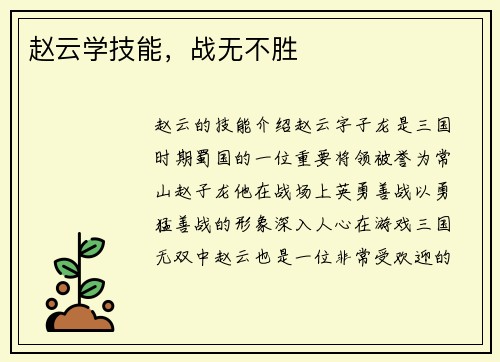 赵云学技能，战无不胜